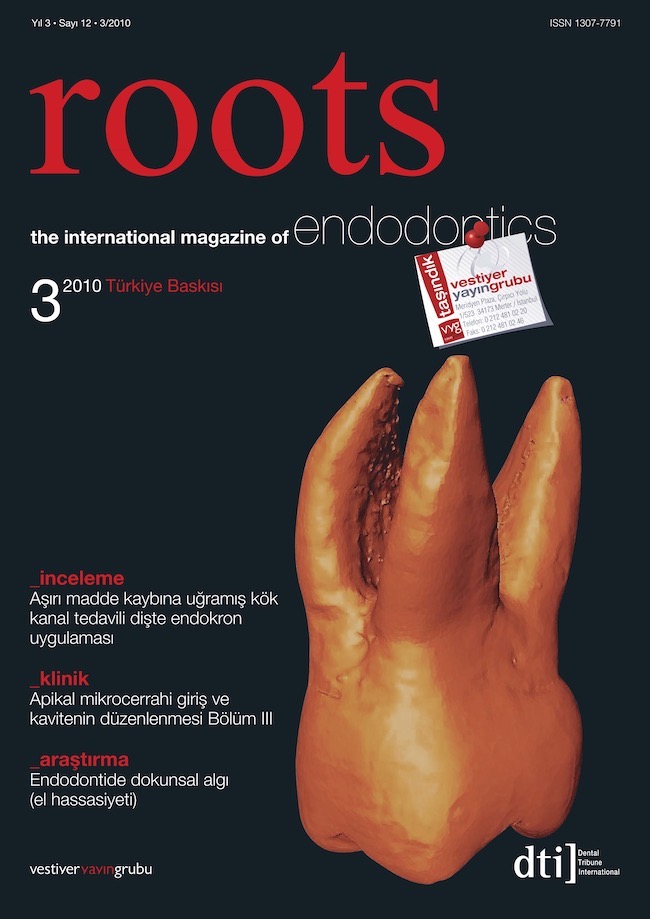 Roots Dergisi
