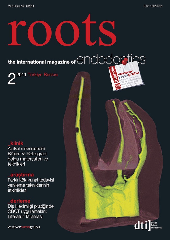 Roots Dergisi