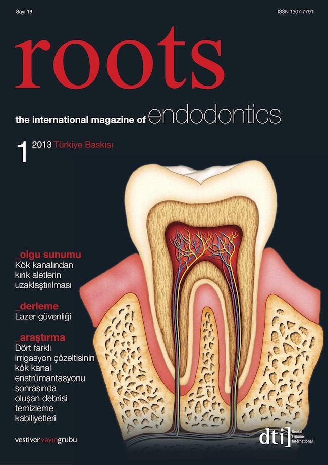 Roots Dergisi