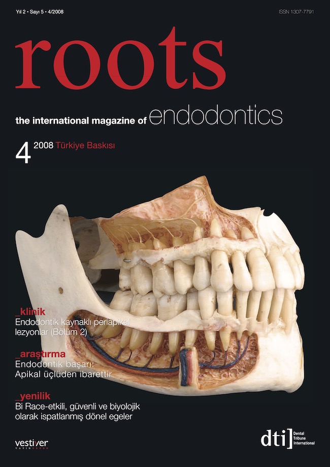 Roots Dergisi